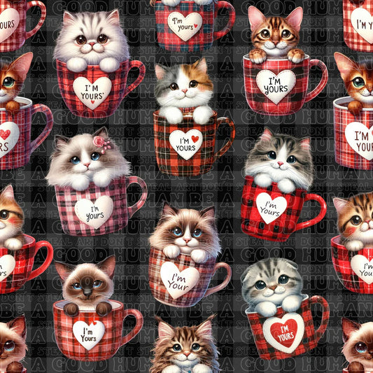 Cat and Dog - 069