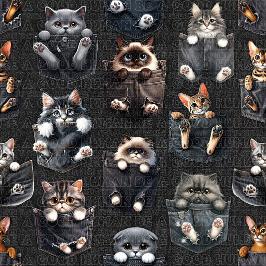 Cats & Dogs 021