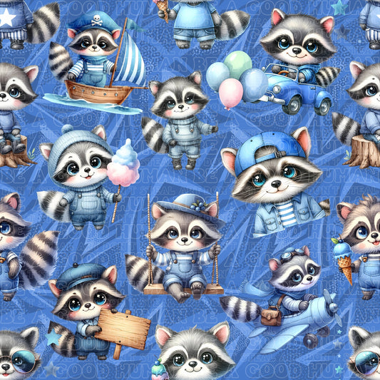 Animals racoon