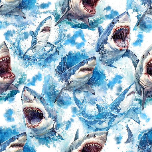 Animals sharks