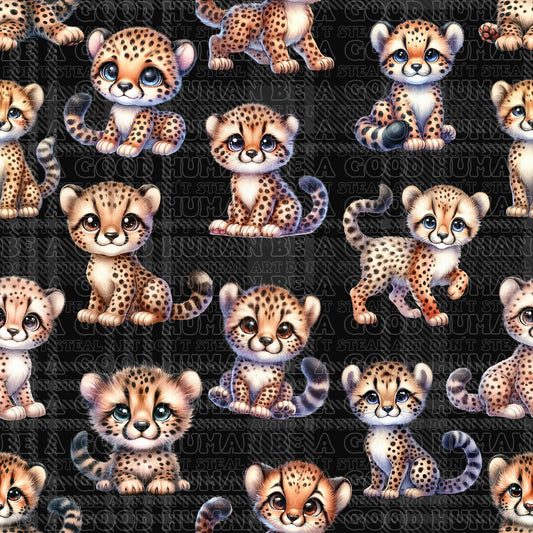 Animals baby cheetah