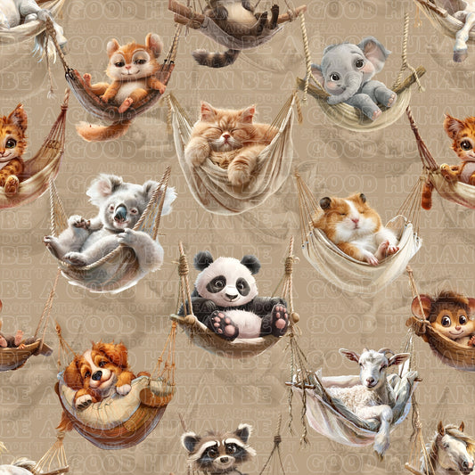 Animals chilling