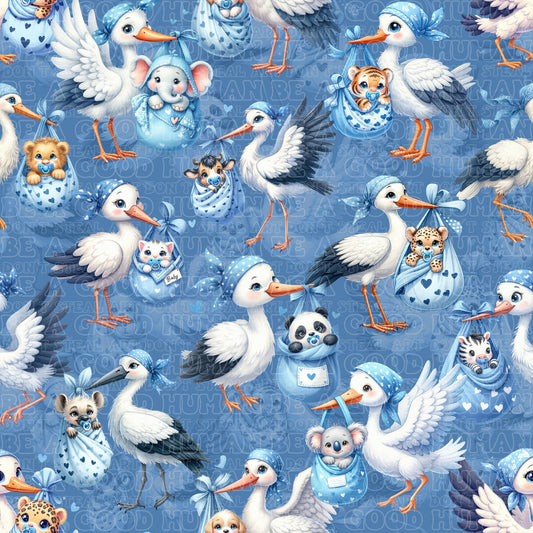 Birds 006