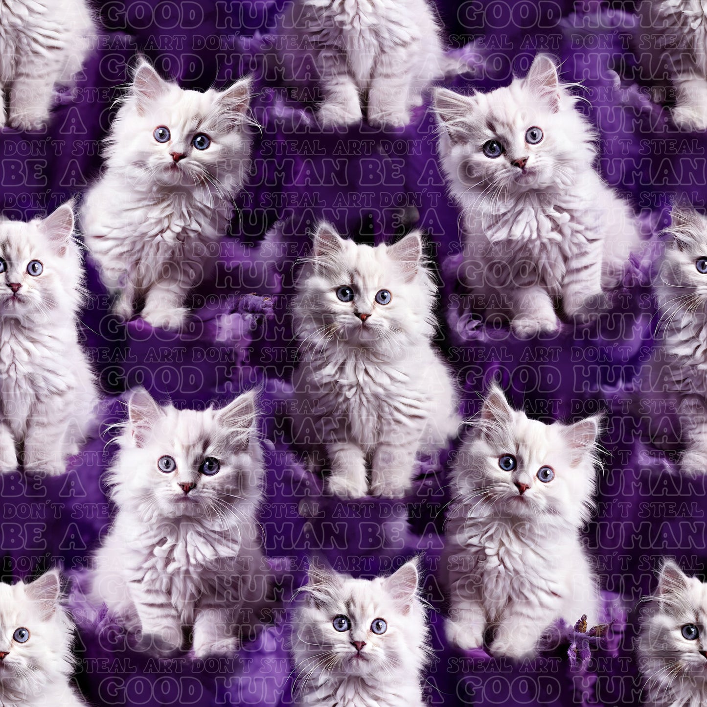 Cats & Dogs 016