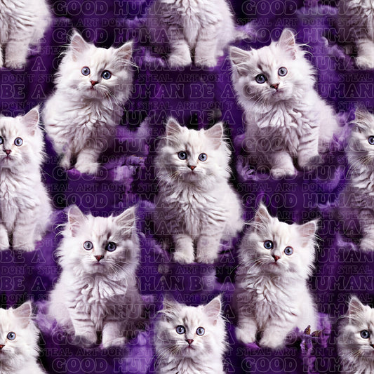 Cats & Dogs 016