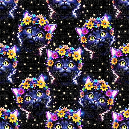 Cats & Dogs 012