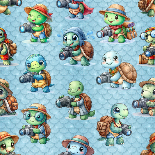 Animals turtle explorer