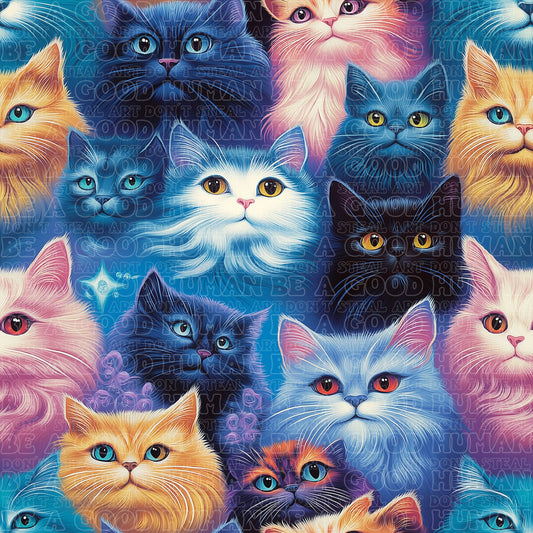 Cats & Dogs 002