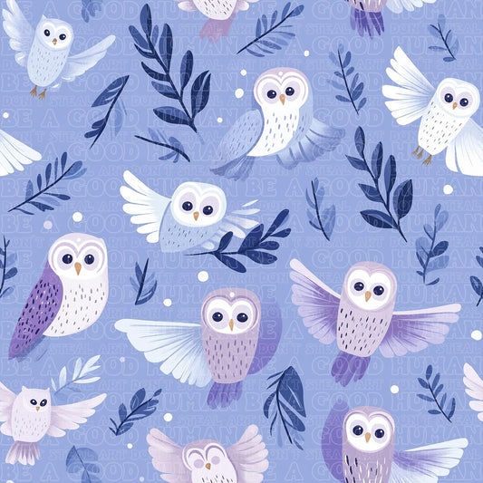 Birds 002