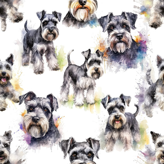 Cats & Dogs 003