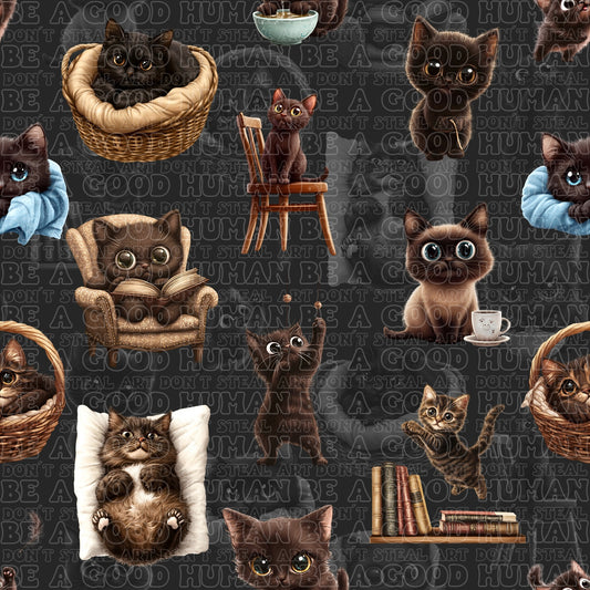 Cats & Dogs 004