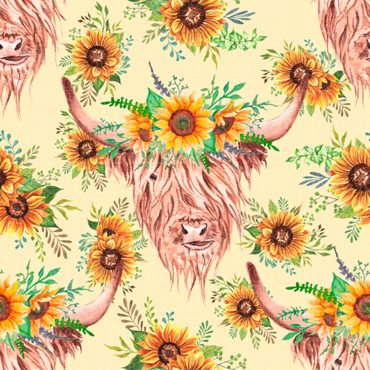 Farm animals highland cows 10