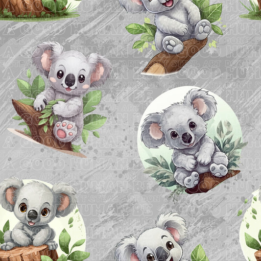 Koala 5