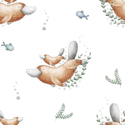 Platypus 3