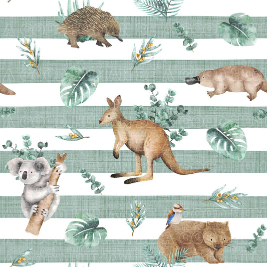 Aussie animals 23