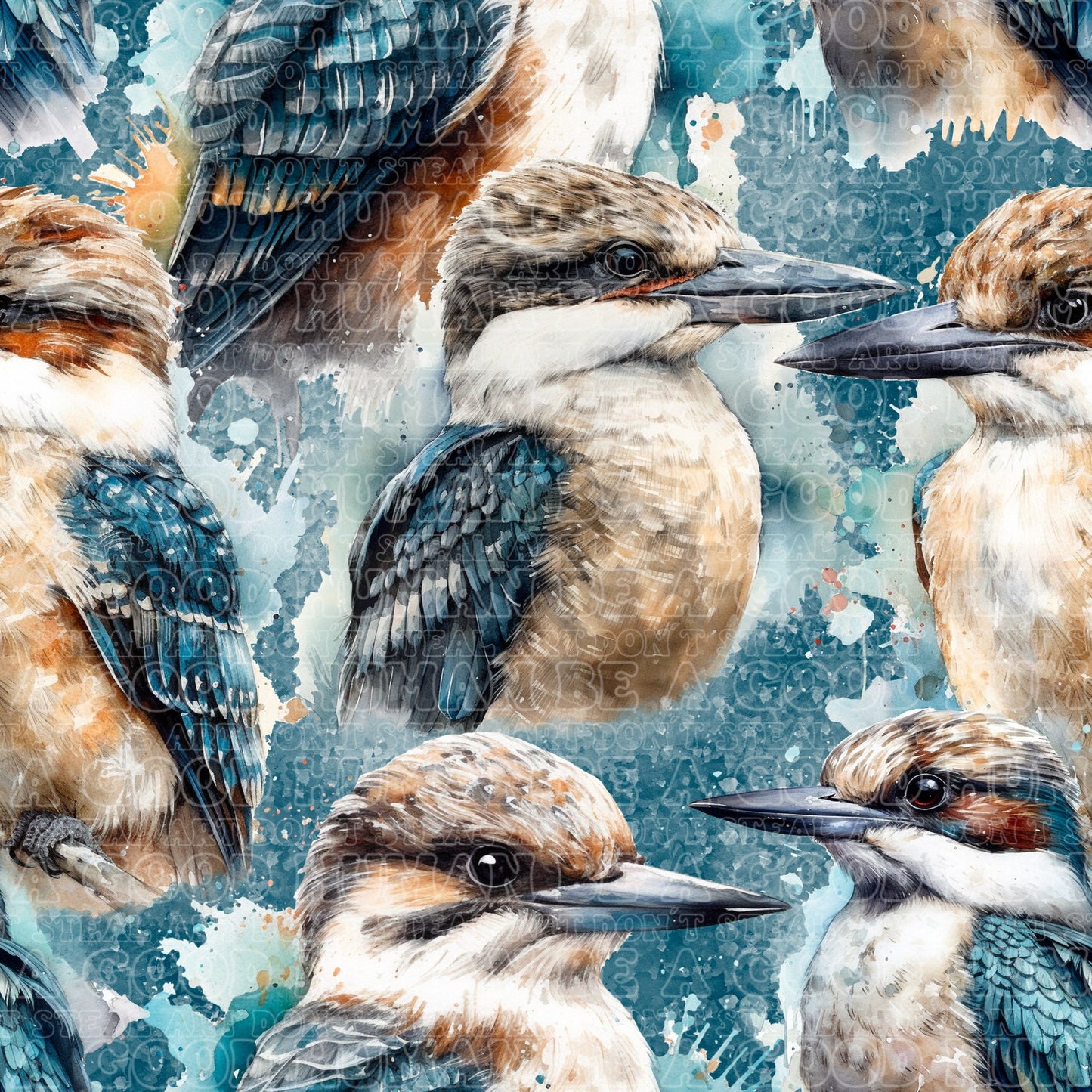 Kookaburra 2
