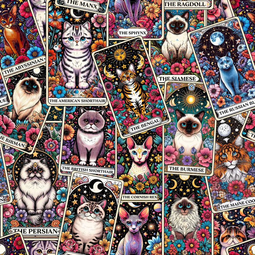 Cat and Dog - 075