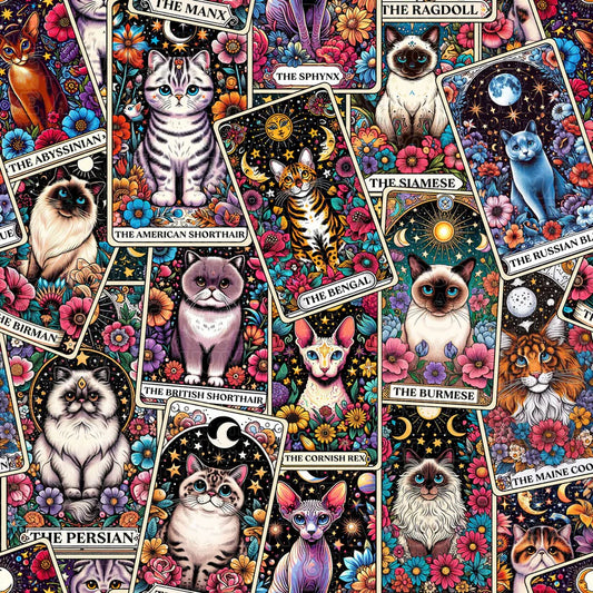 Cat and Dog - 075