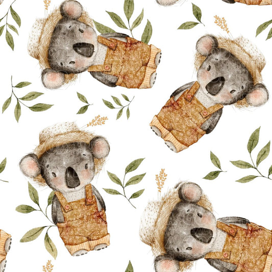 Koala 8