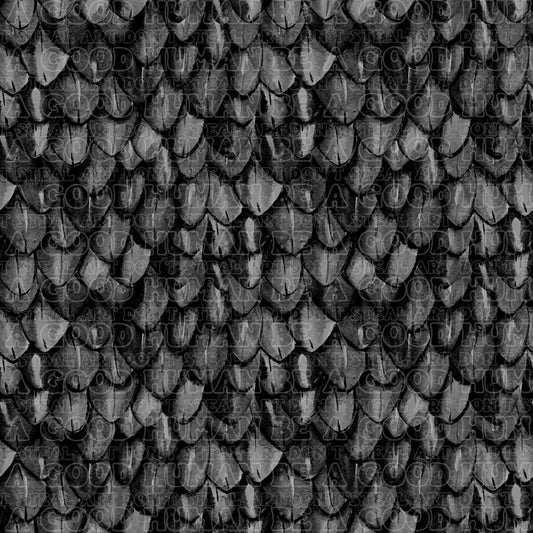 Dragon scales