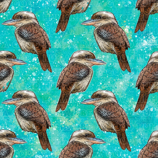 Kookaburra 1