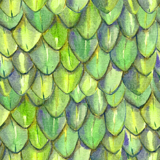 Dragon scales