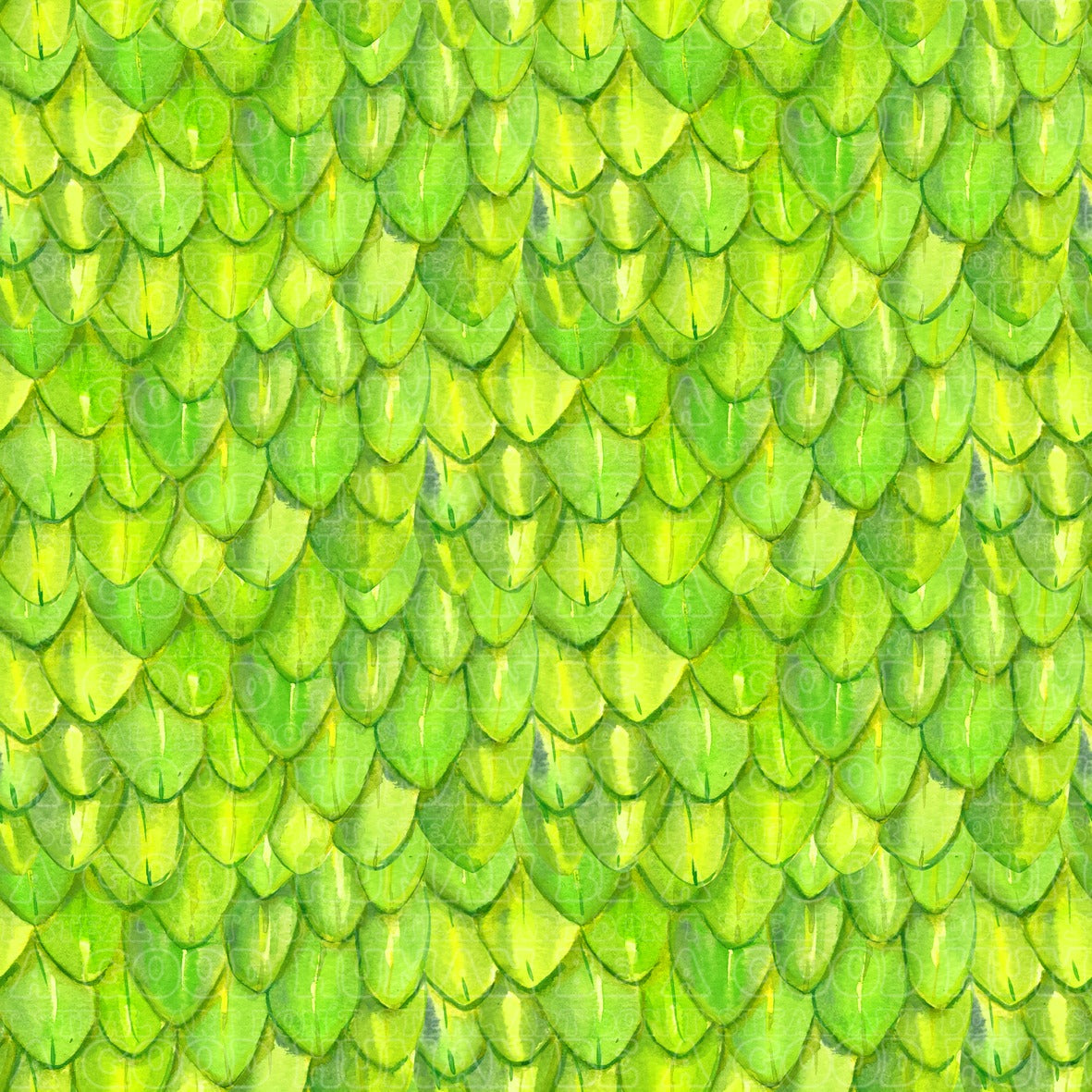 Dragon scales