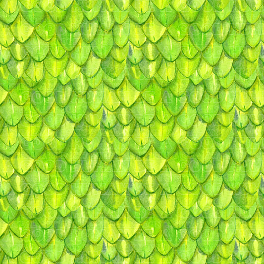 Dragon scales