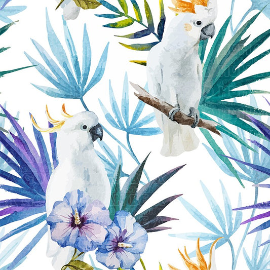 Aussie birds