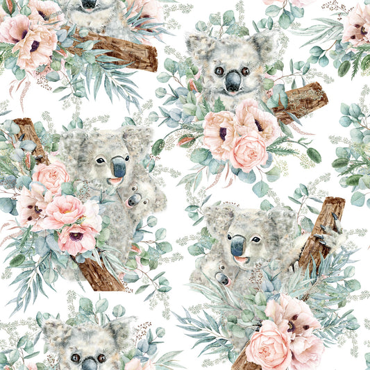 Koala 3