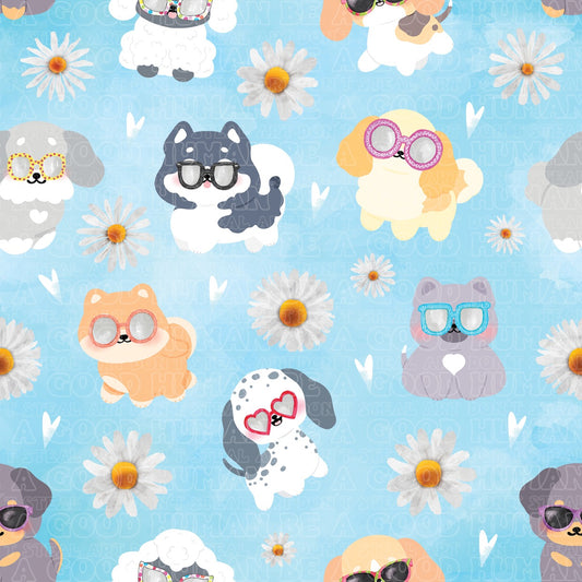 Cat and Dog - 137