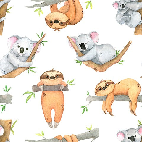 Aussie animals 21