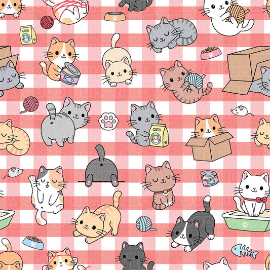 Cat and Dog - 128