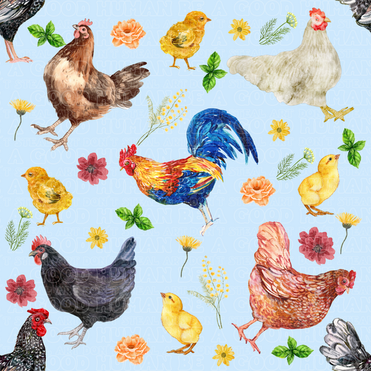 Farm animals chickens 4
