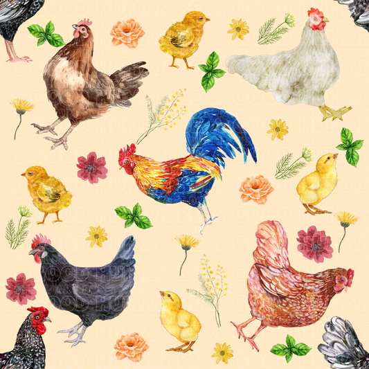 Farm animals chickens 3