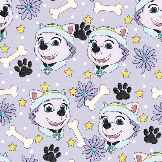 Paw Patrol 105 Everest