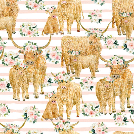 Farm animals highland cows 15