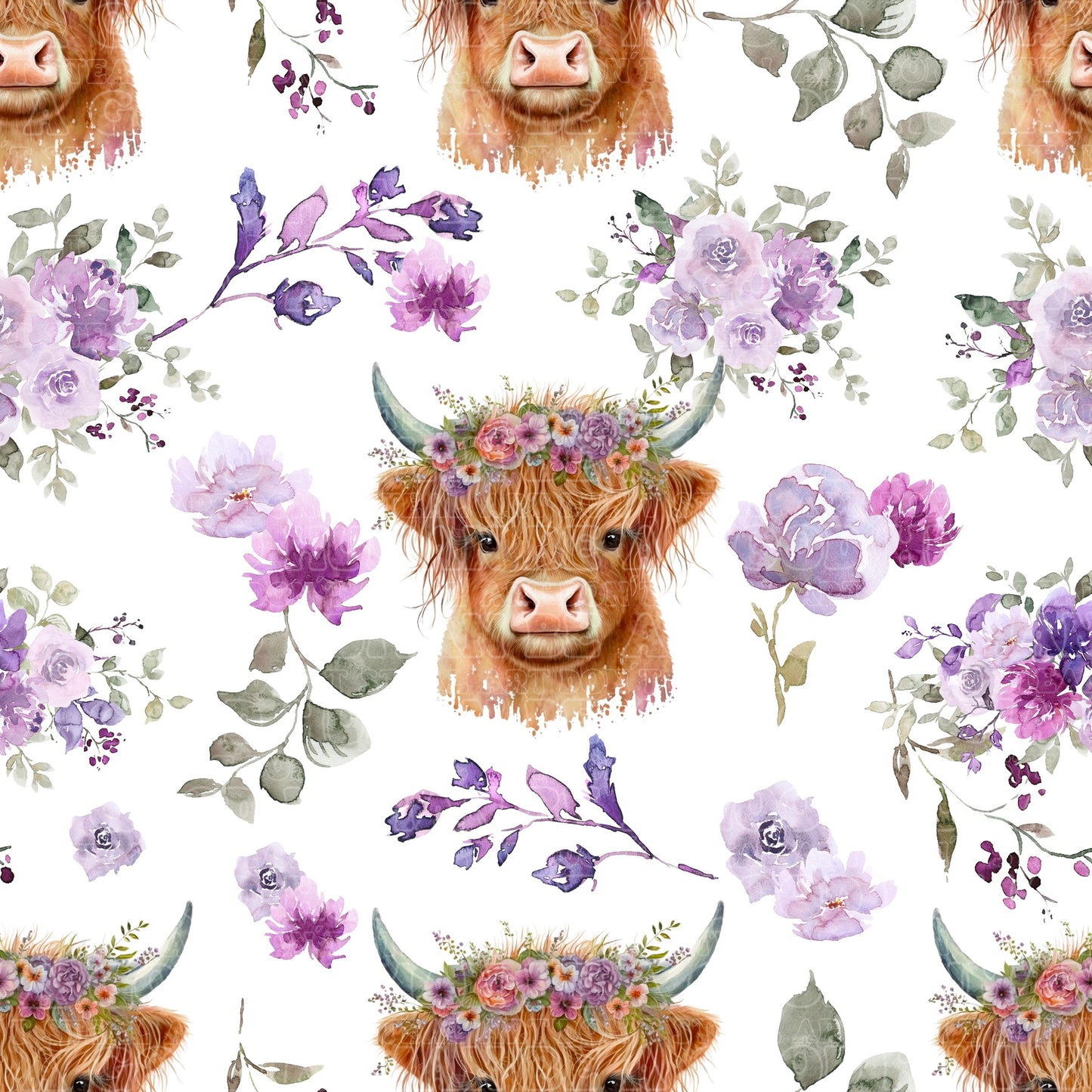 Farm animals highland cows 16