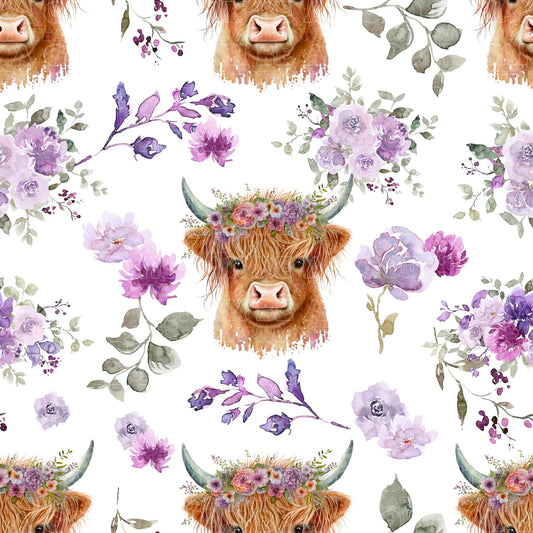 Farm animals highland cows 16