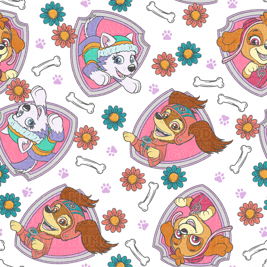 Paw Patrol 68 girls