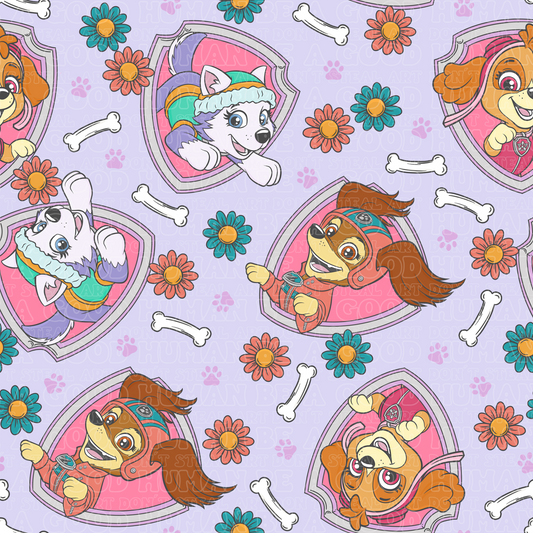 Paw Patrol 67 girls