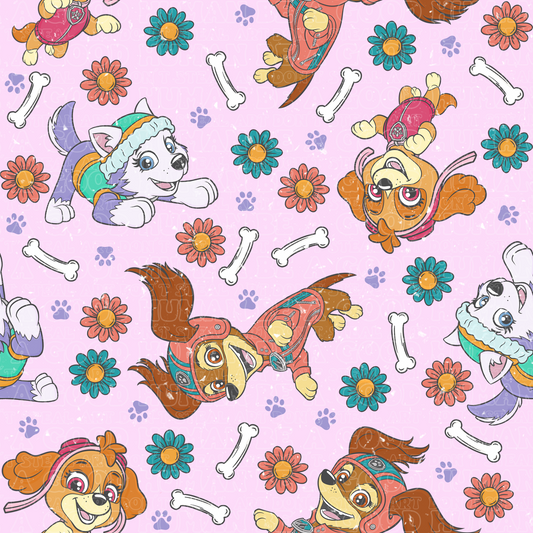 Paw Patrol 80 girls only
