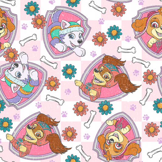 Paw Patrol 66 girls