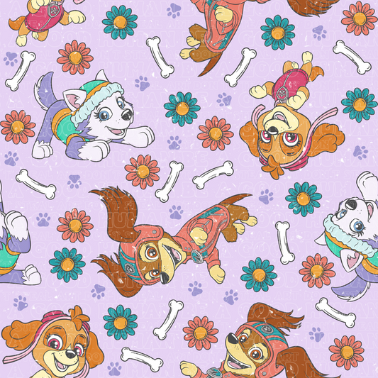 Paw Patrol 79 girls only