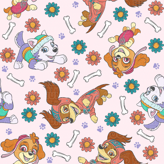 Paw Patrol 78 girls only