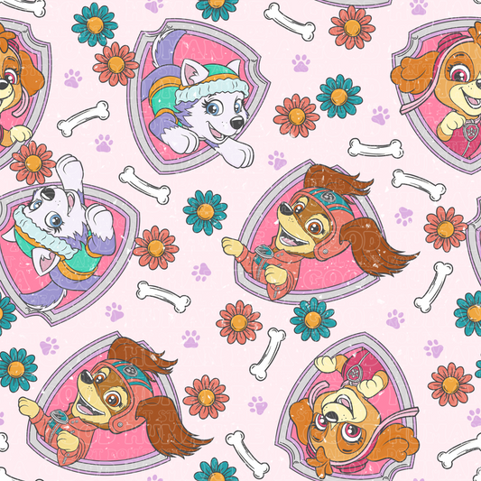 Paw Patrol 63 girls