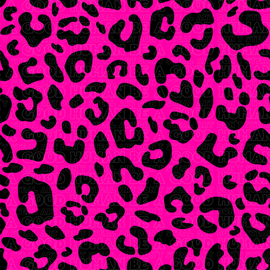 Leopard 3