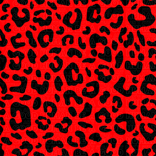 Leopard 4