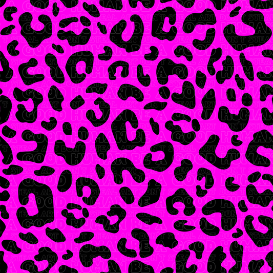 Leopard 2