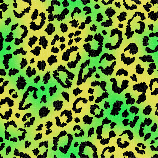 Leopard 8
